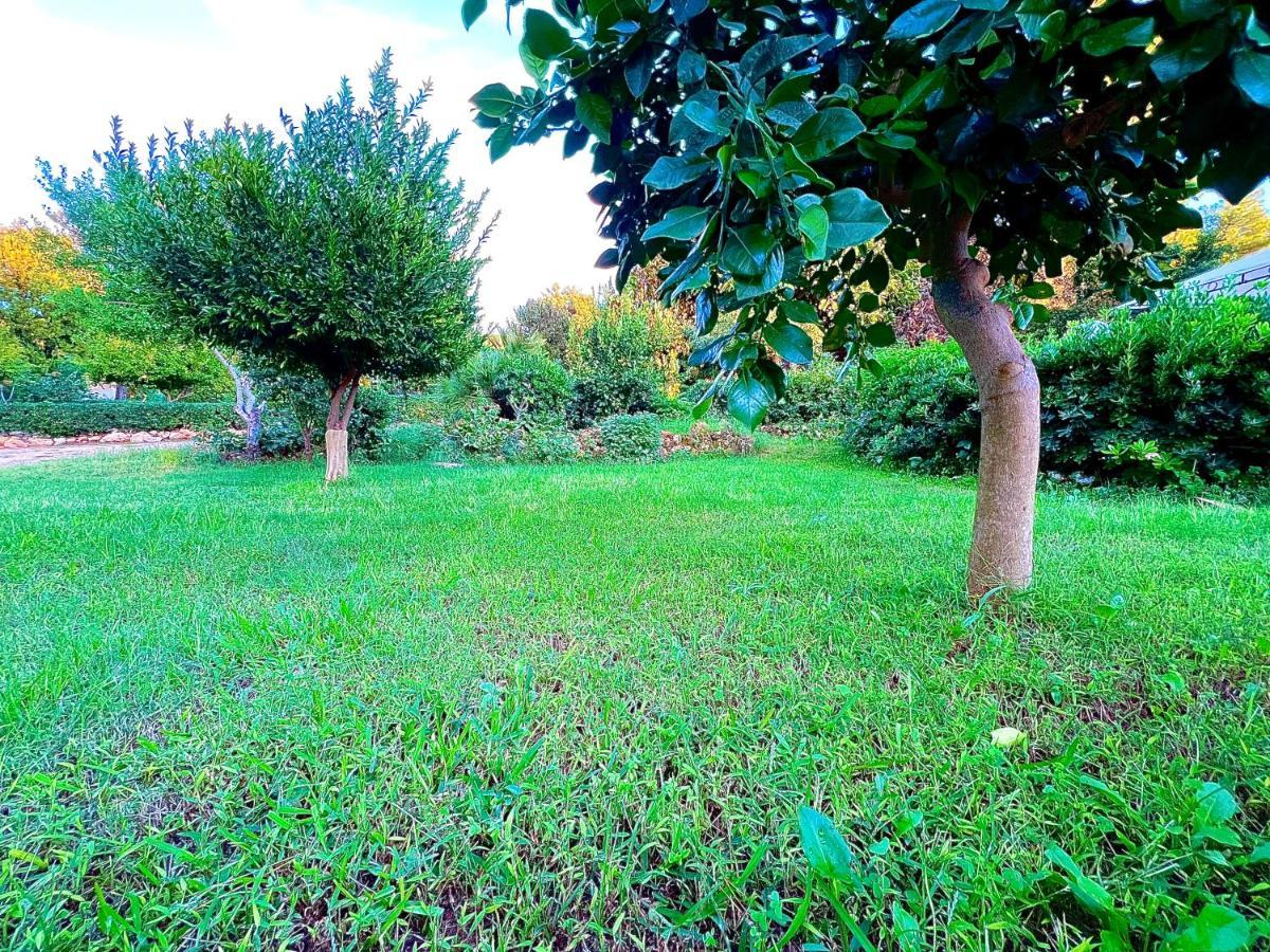 Villa Rosemary Marsala Bagian luar foto